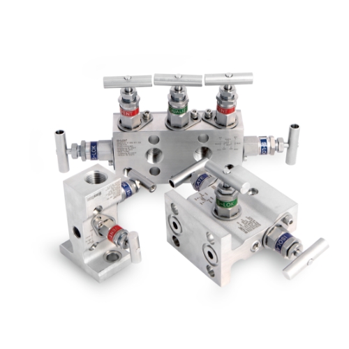SM2V Series, 2-Valve Instrument Manifold, Remount Mount, Female NPT 1/2in